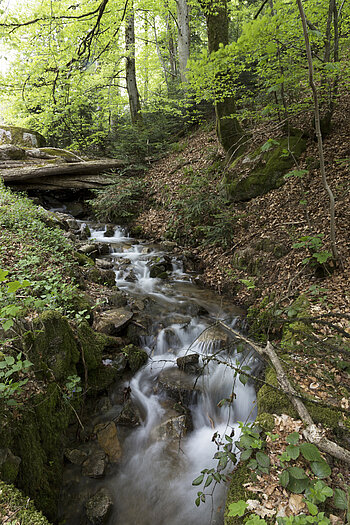 Blick auf den Fischgraben
