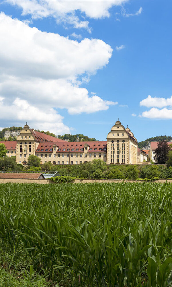 Wanderung beim Kloster Beuron