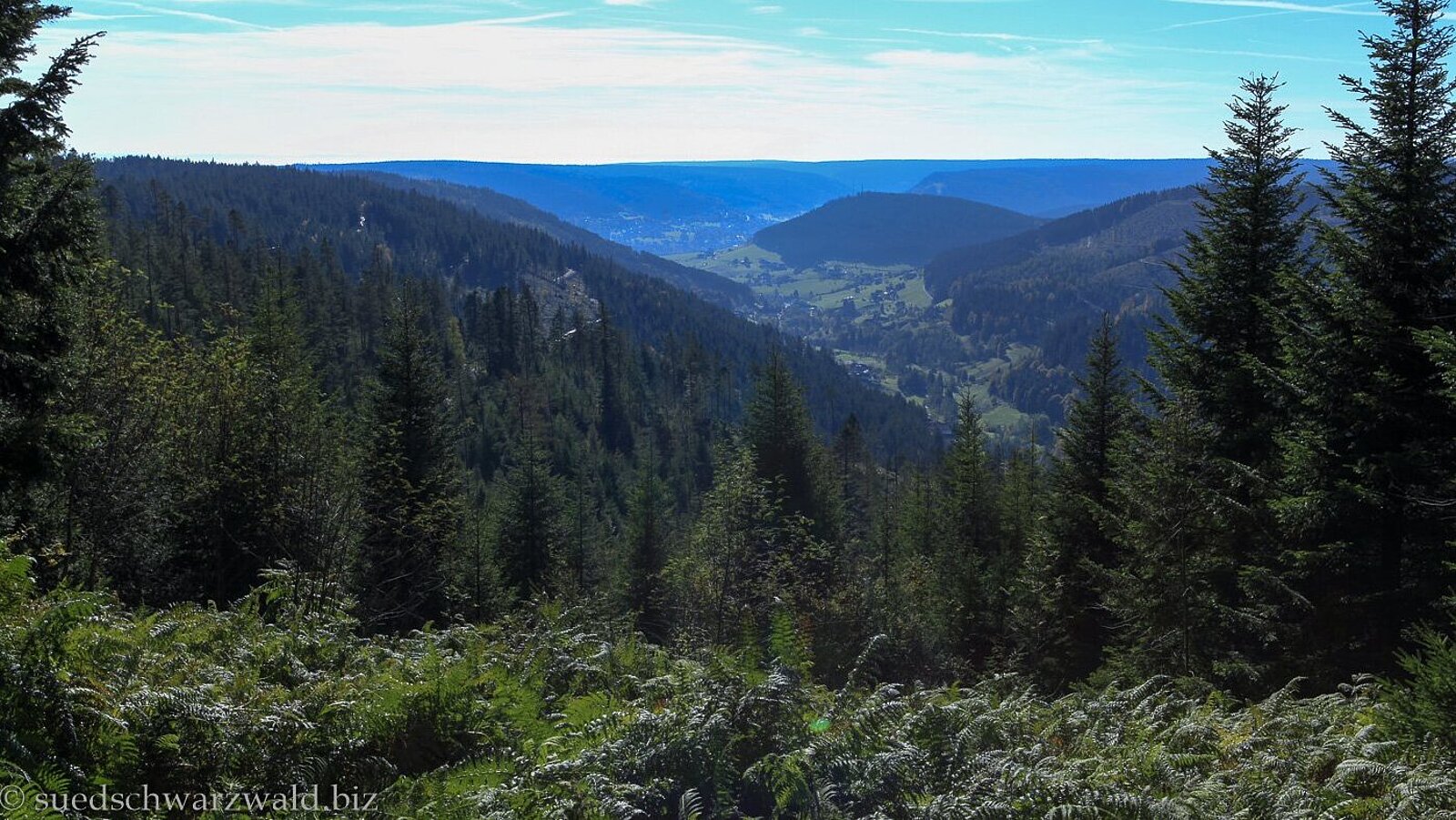 Aussicht vom Baiersbronner Tonbachsteig über die stark bewaldeten Hügel im Murgtal