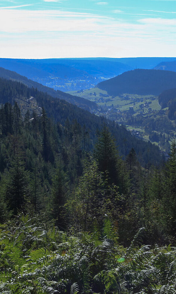 Aussicht vom Baiersbronner Tonbachsteig