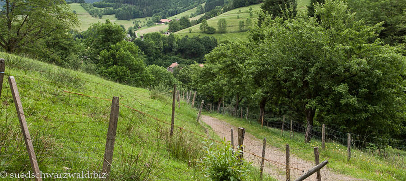 Aussicht über die Gemeinde Simonswald zum Kandel