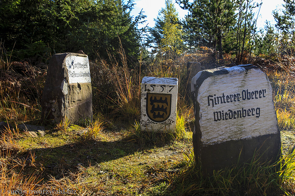Historische Grenzsteine im Dammerswald bei Baiersbronn