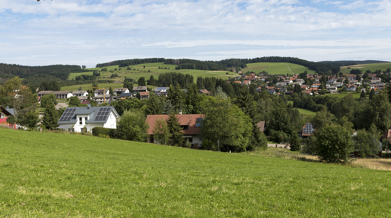 Aussicht über die Wiesen und Wälder bei Herrischried im Hotzenwald