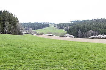 Aussicht über die Wiesen bei Loßburg