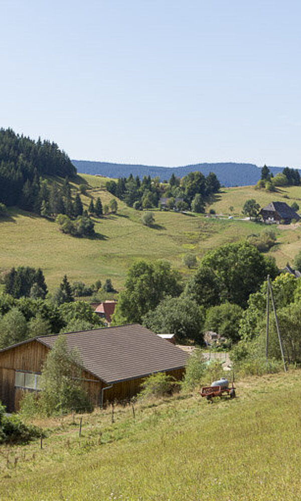 Genießerpfad Hochschwarzwälder Hirtenpfad
