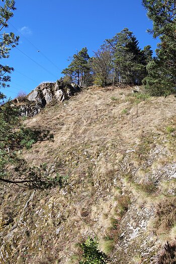 Hang unterhalb des Burgfelsens Berneck