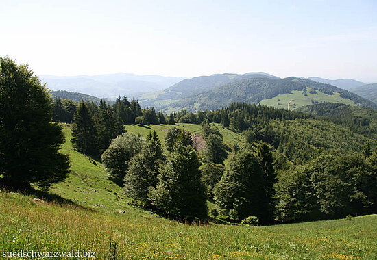 Aussicht nahe der Passhöhe Hau über das Kleine Wiesental