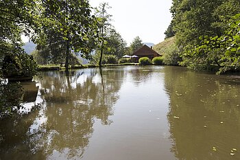 Blick über Silbersee zum Haslacher Besucherbergwerk