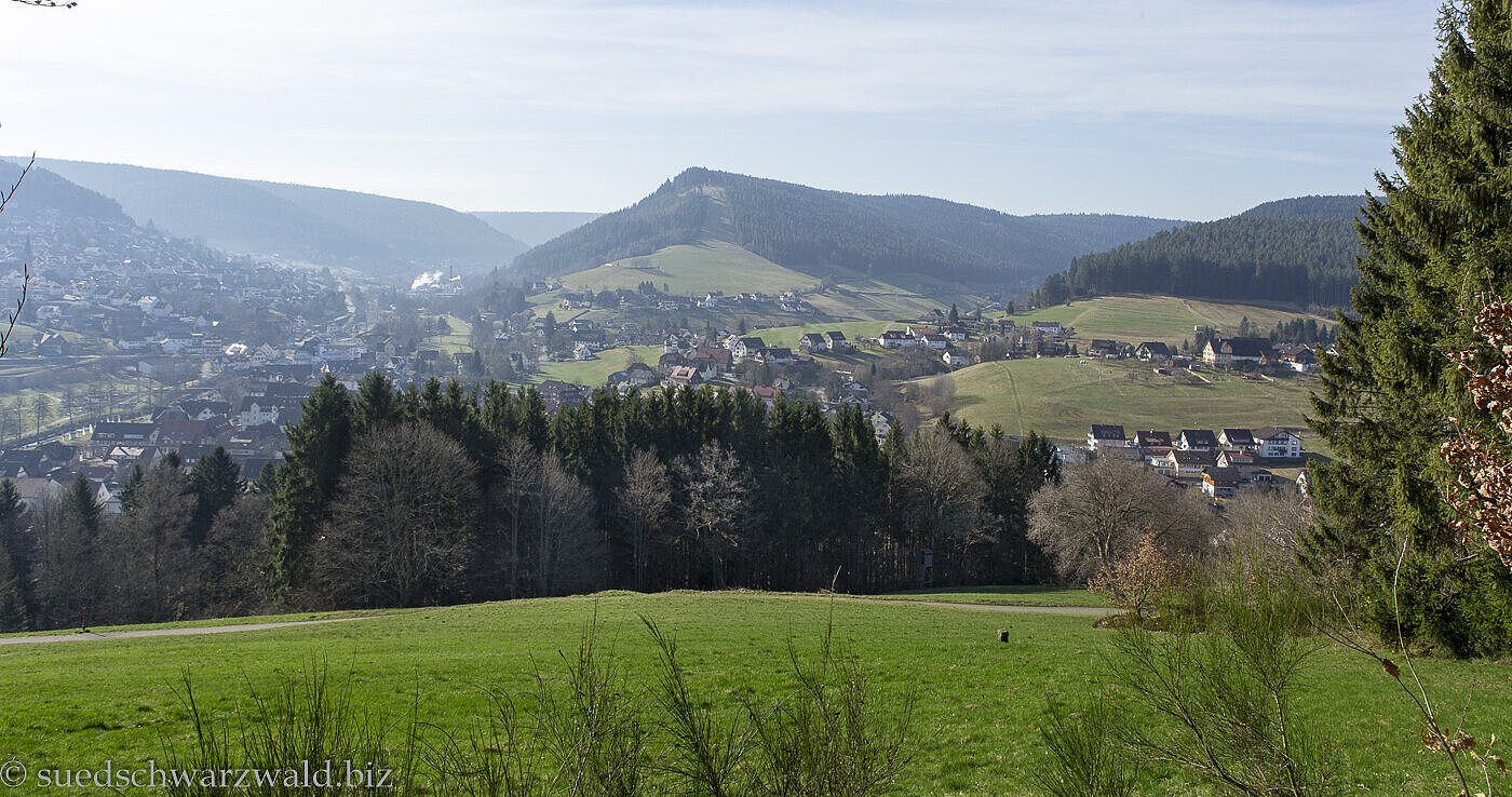 Aussicht vom Satteleisteig