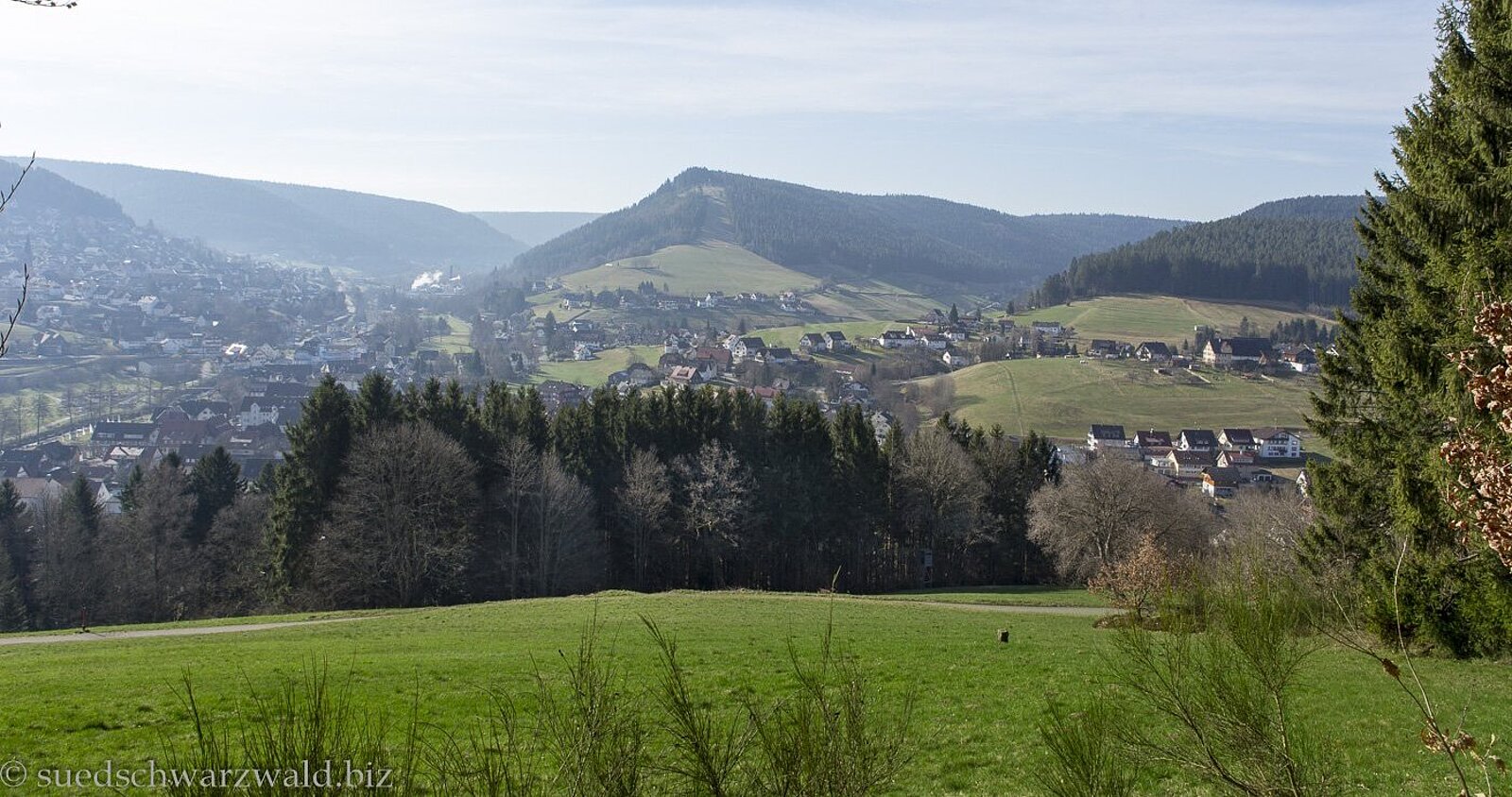 Aussicht vom Satteleisteig am Rinkenkopf über Baiersbronn zum Stöckerkopf