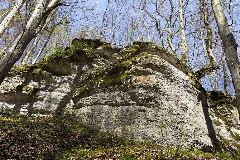 Wanderung Hossinger Leiter