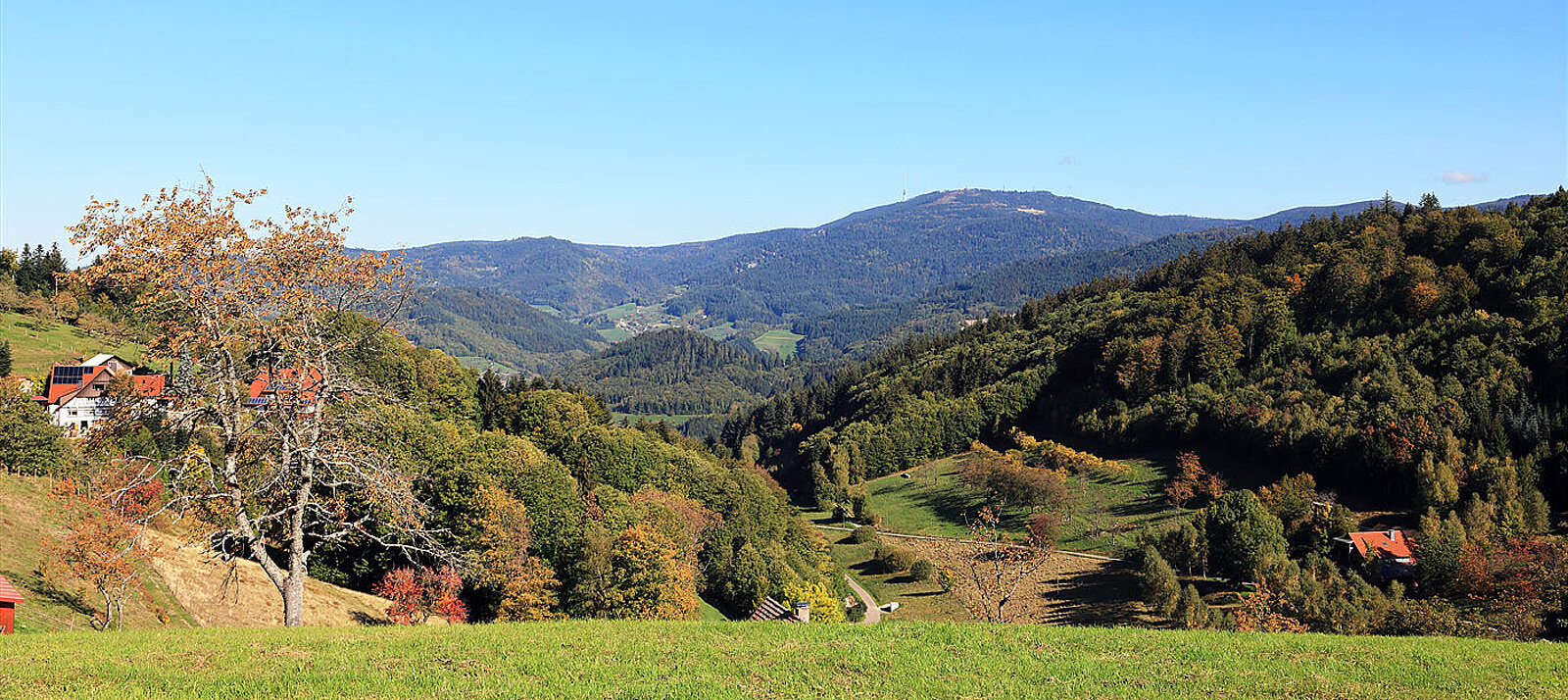 Aussicht vom Lautenbacher Hexensteig zur Hornisgrinde im Schwarzwald