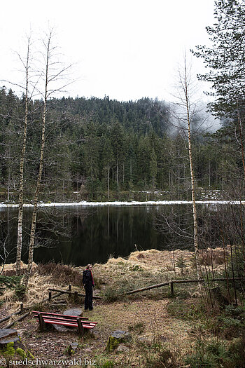 Aufziehender Nebel beim Schurmsee