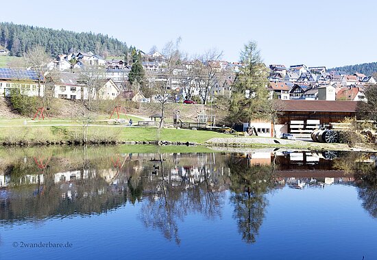 Blick über den Dorfweiher nach Tennenbronn