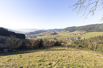 Aussicht vom Jägereckle in Richtung Hinterhambach