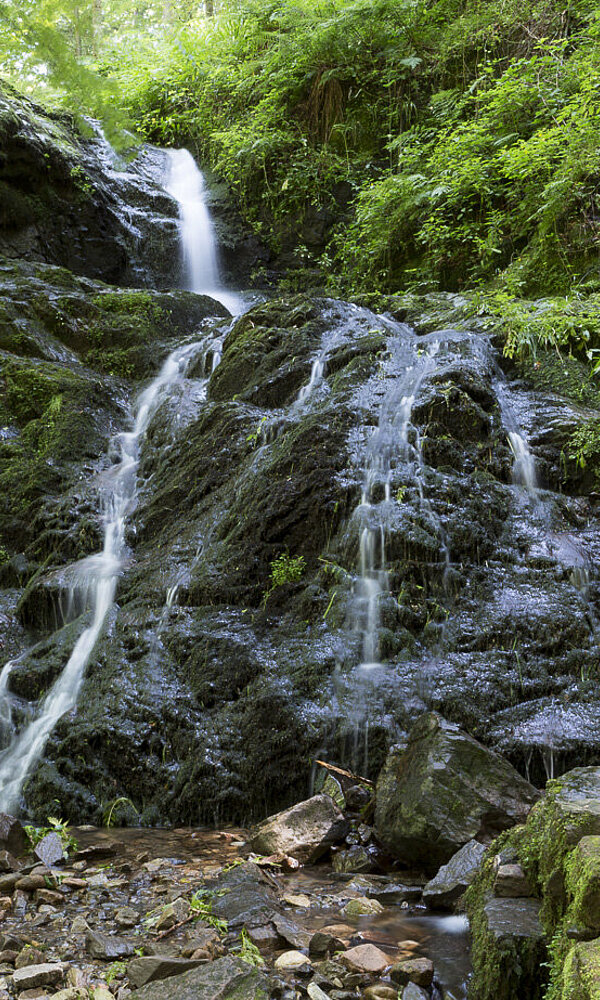 Holchenwasserfall bei Bad Peterstal