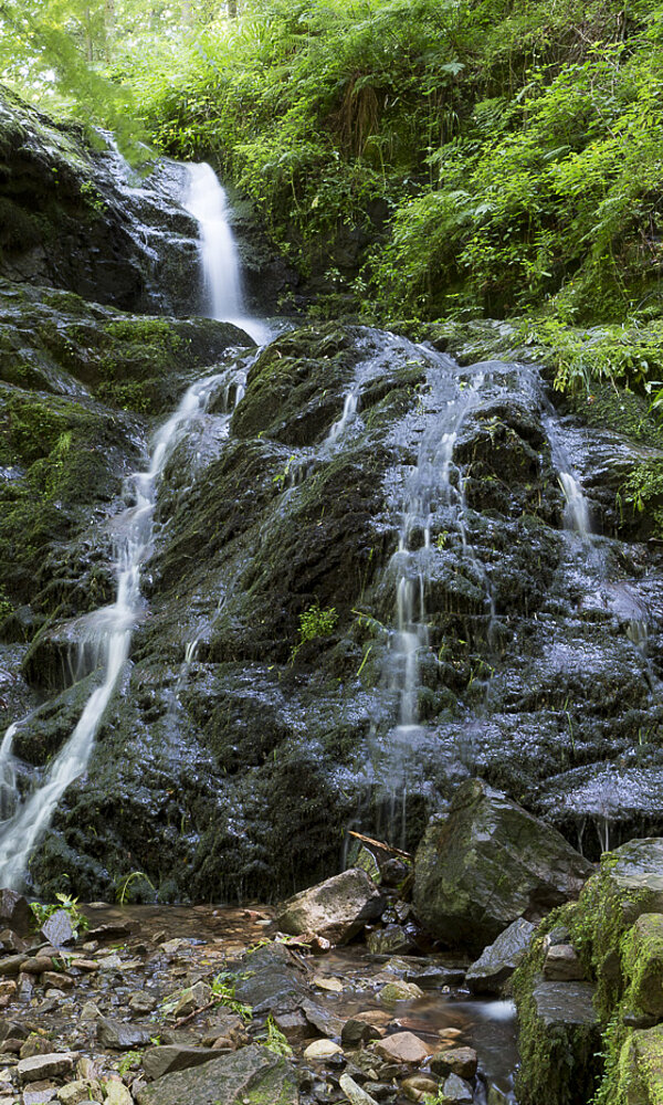 Holchenwasserfall bei Griesbach