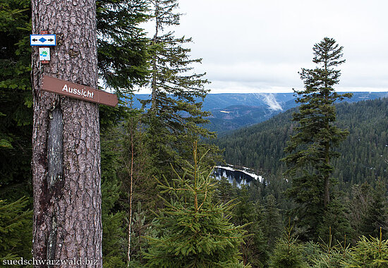 Ausblick von der Schurmhöhe auf den Schurmsee und den Bergen im Nordschwarzwald