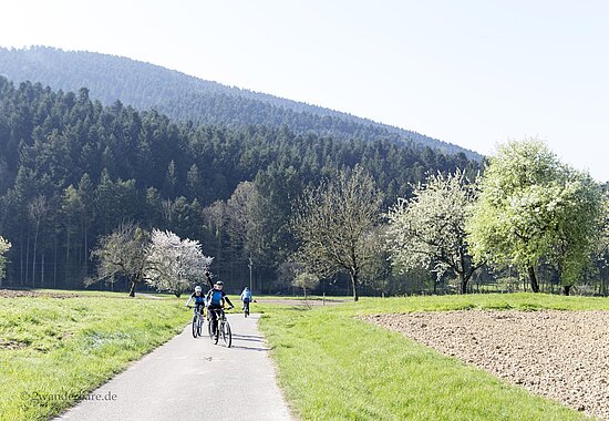 Kinderwagenweg von Zell am Harmersbach nach Unterentersbach