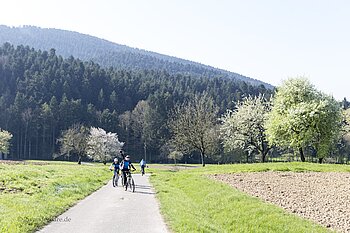 Radfahrer auf dem Kinderwagenweg von Zell am Harmersbach