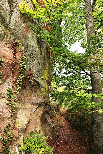 Wanderweg im Bereich des Elefantenkopfs oberhalb Schramberg
