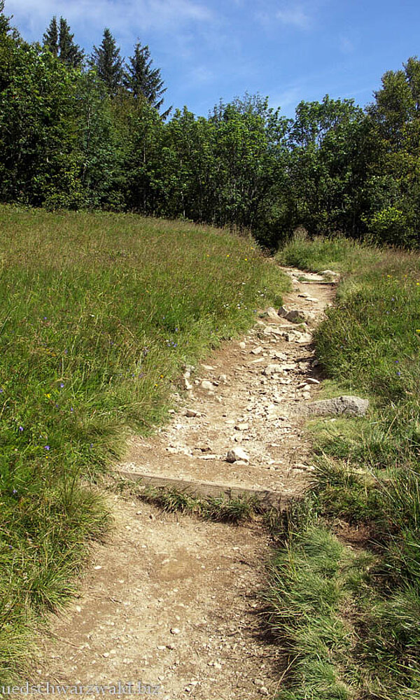 Pfad hoch auf den Seebuck