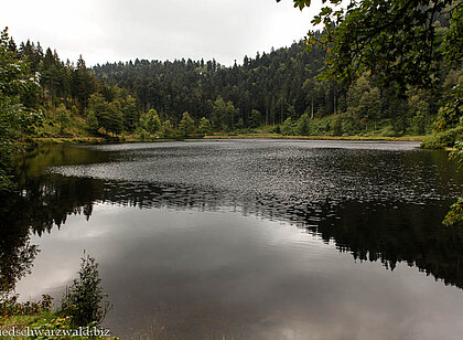 Wanderung an den Nonnenmattweiher