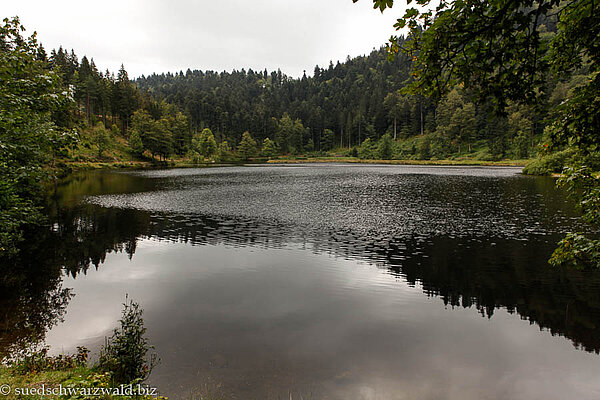 Wanderung an den Nonnenmattweiher