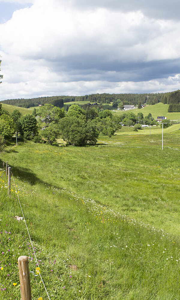 Wanderung auf dem Heilklima-Steig bei Schönwald