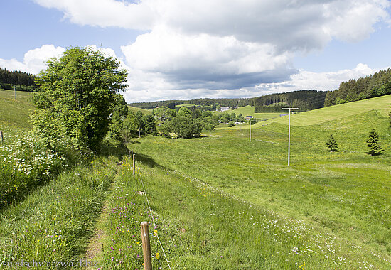 Wanderung auf dem Heilklimasteig von Schönwald