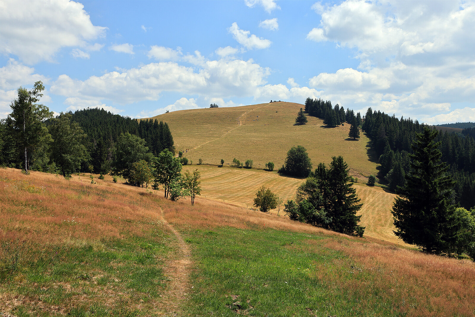 Aussicht über den Rotsattel zum Hinterwaldkopf