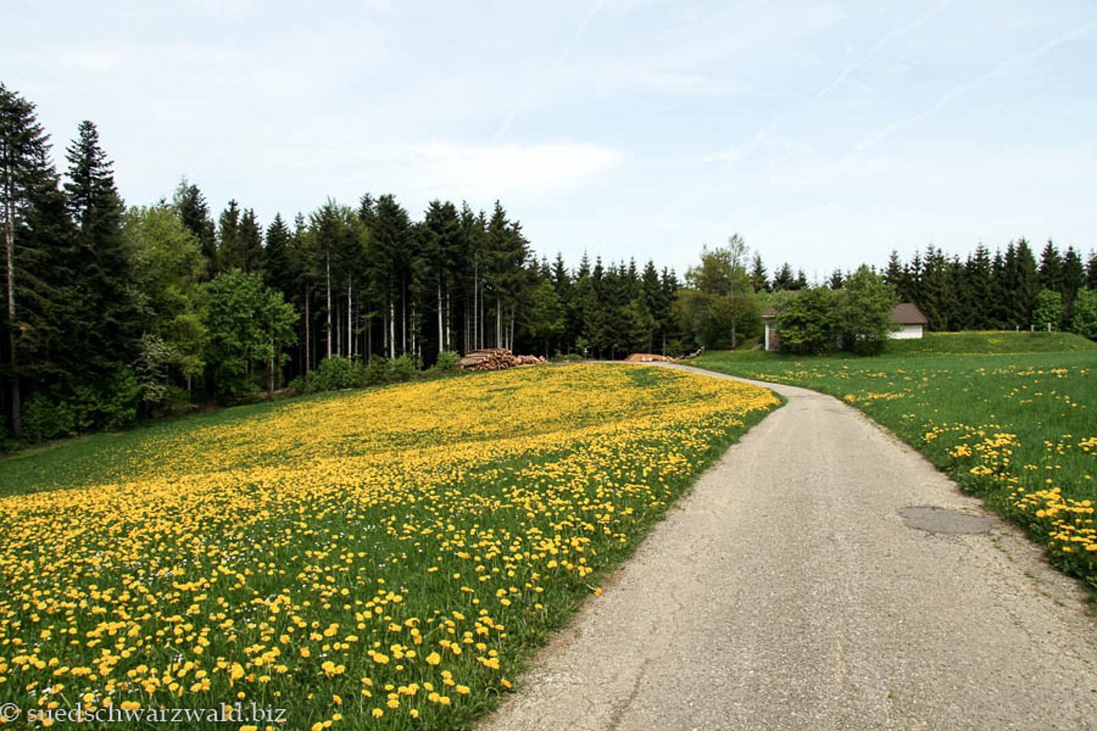 Wanderweg bei Höchenschwand im Schwarzwald