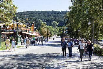 Promenade am Titisee
