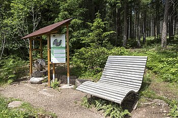 Rastplatz mit Liege am Auerhahnweg bei Tennenbronn