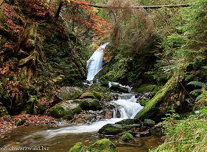 Wanderung durch die Ravennaschlucht