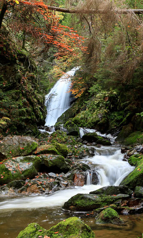 Wasserfall in der Ravennaschlucht