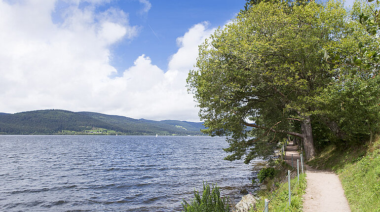 Seeweg um den Schluchsee