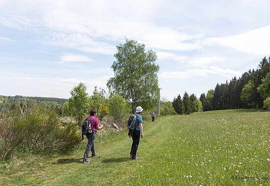 Wanderinnen auf dem Auerhahnweg bei Schramberg-Tennenbronn