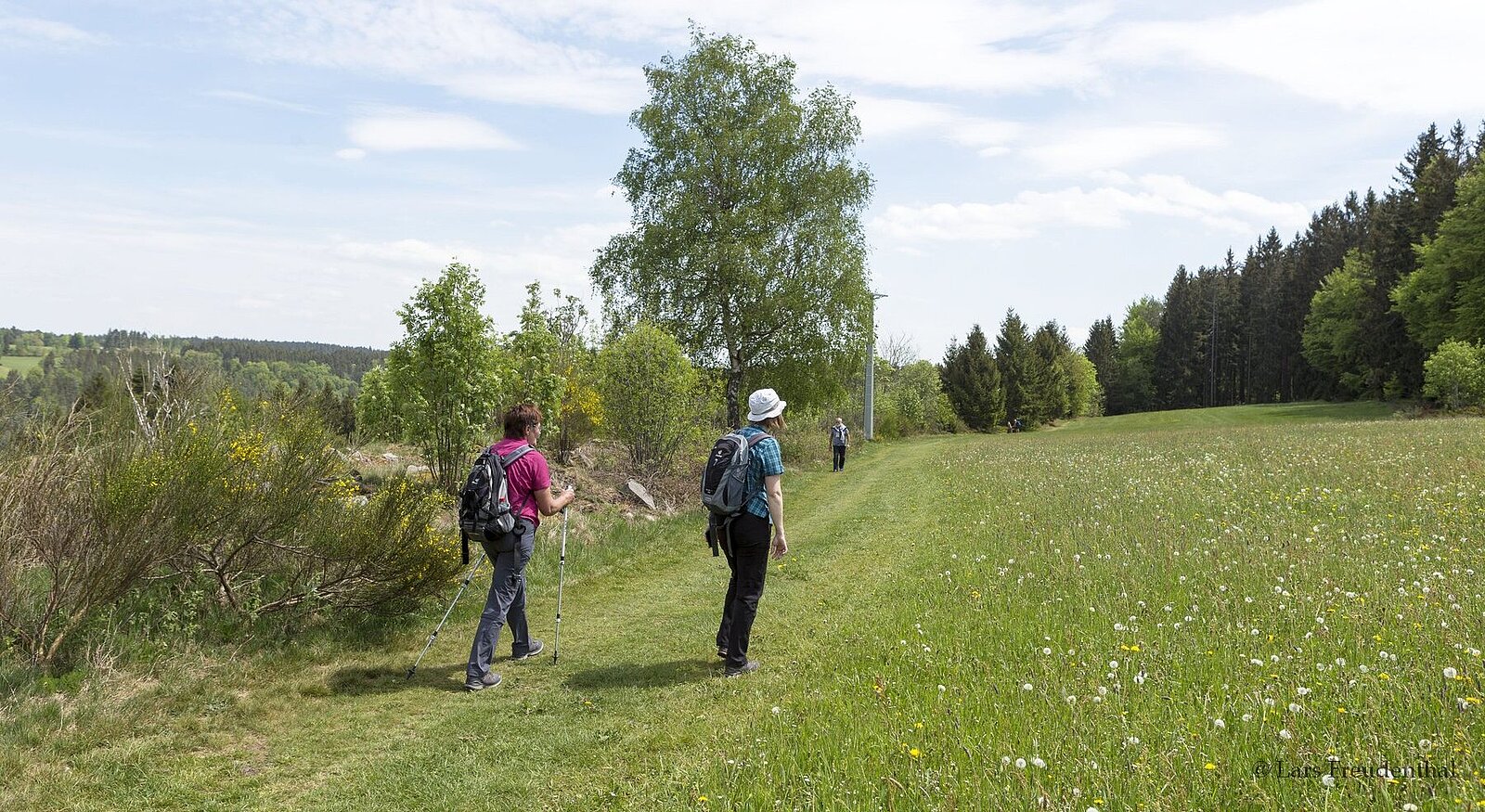 Wanderer auf dem Auerhahnweg bei Schramberg-Tennenbronn im Schwarzwald
