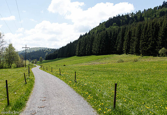 Bernauer Albweg zwischen Bernau-Hof und Innerlehen