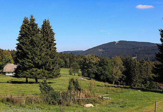 Wanderung auf die Bankenhöhe