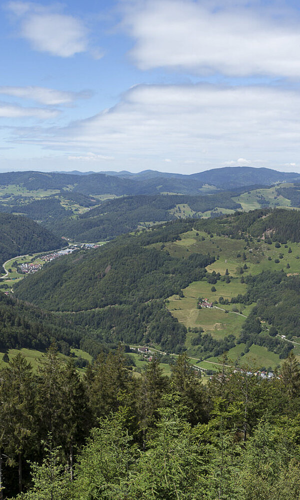 Aussicht vom Hasenhornturm