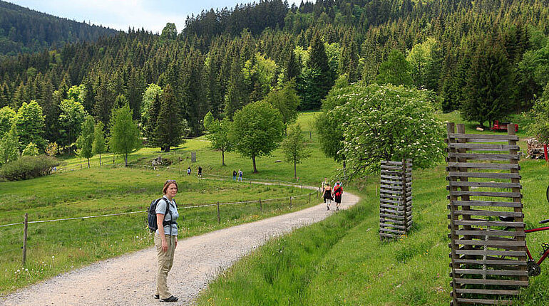 Wanderweg beim Unterkrummenhof