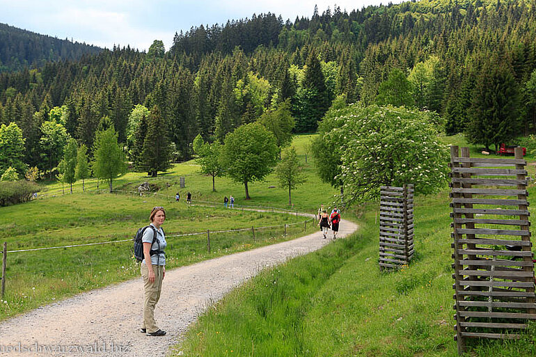 Wanderweg beim Unterkrummenhof