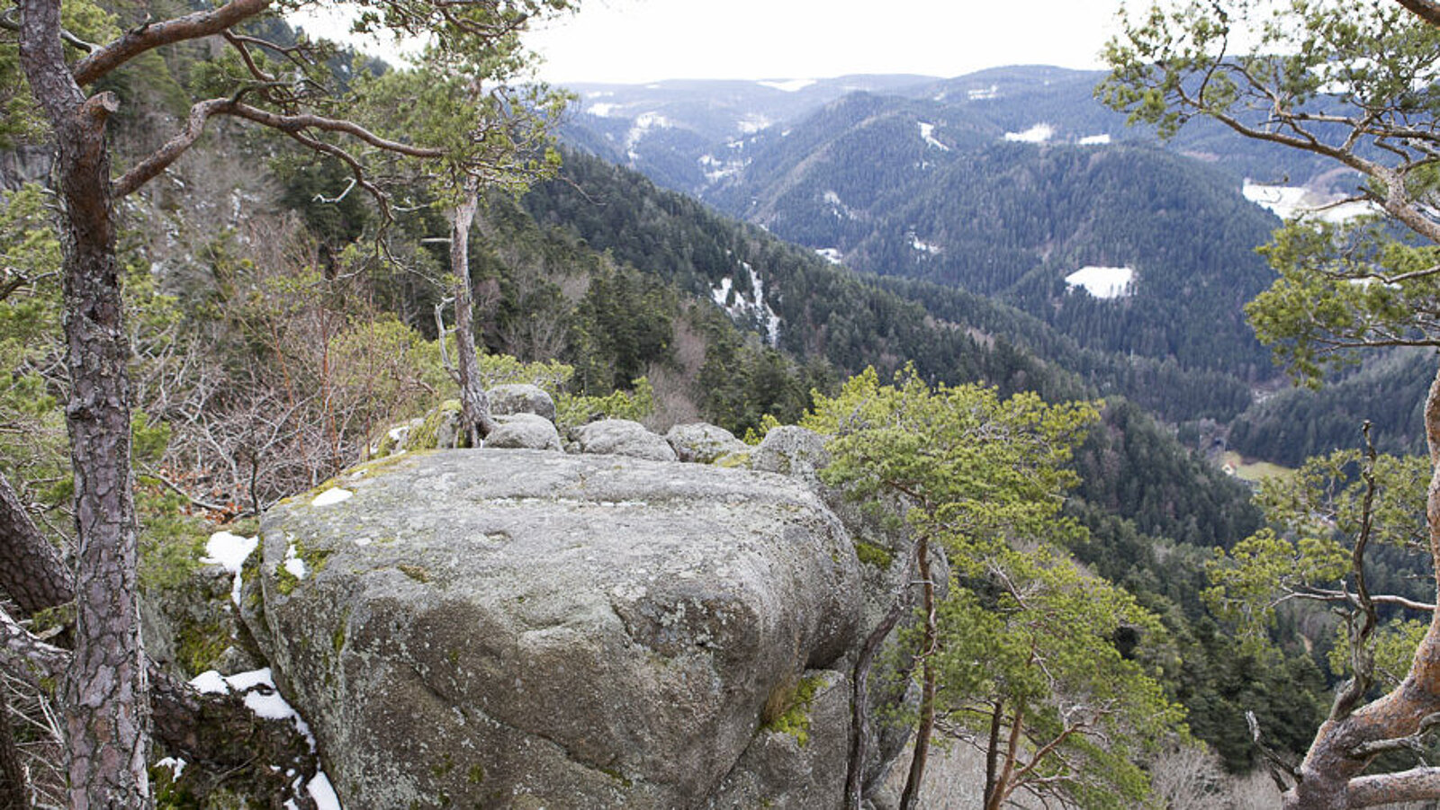 Aussicht über den unteren Schlossfelsen von Hornberg über das bewaldete Gutachtal