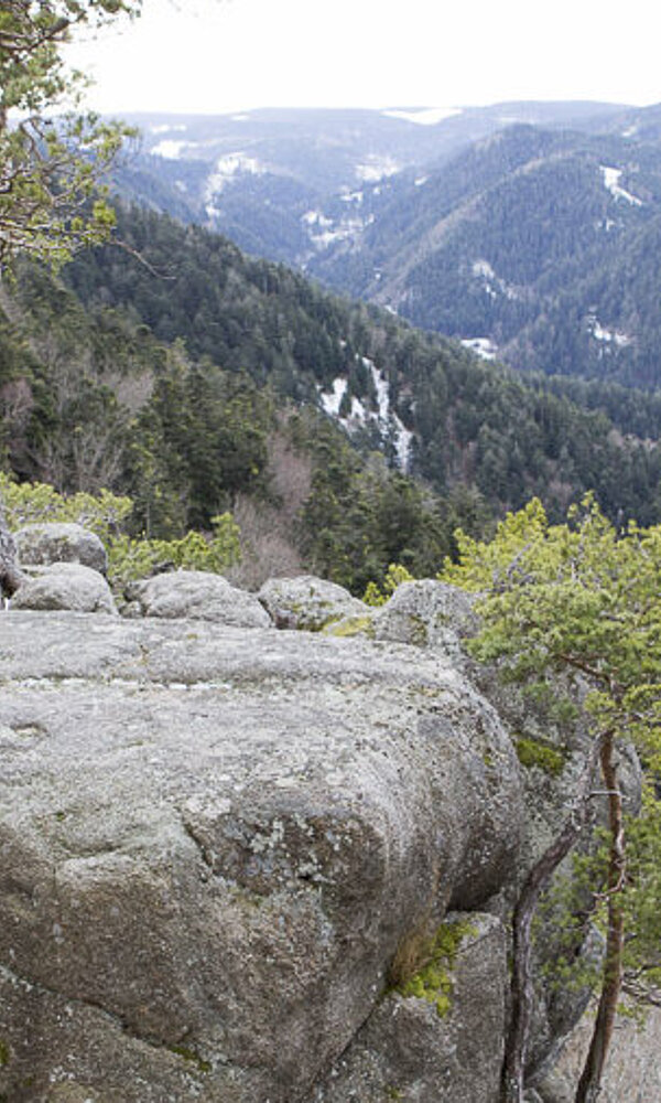 Blick über den Unteren Hornberger Schlossfelsen