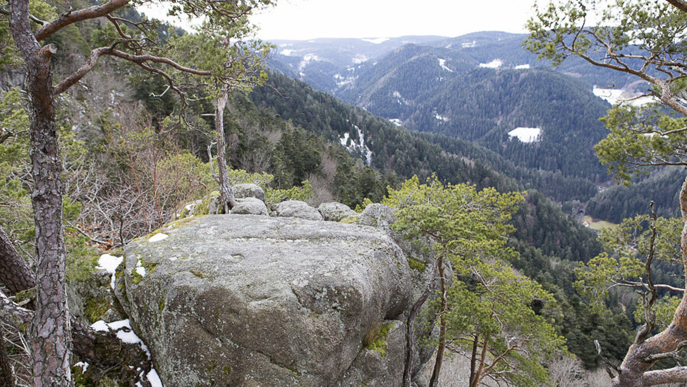 Blick über den Unteren Hornberger Schlossfelsen
