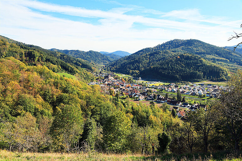 Blick von Sepps Ruhebänkle durch das Renchtal
