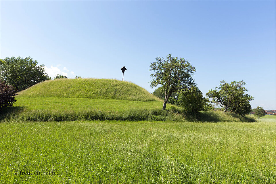 Baumburg oder auch Turmhügelburg nahe der Heuneburg