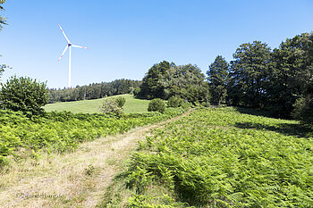 Wanderweg Windrad oberhalb der Prechtaler Schanze